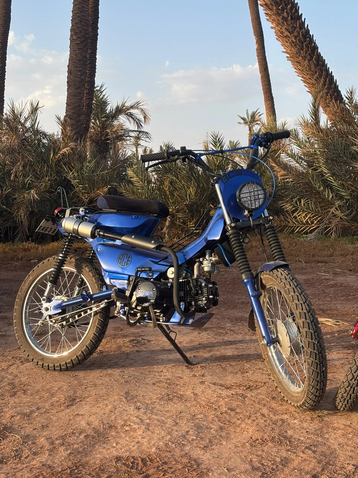 Sidi Bel Abbes custom blue motorcycle parked among palm trees in Marrakech