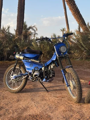 Sidi Bel Abbes custom blue motorcycle parked among palm trees in Marrakech thumbnail