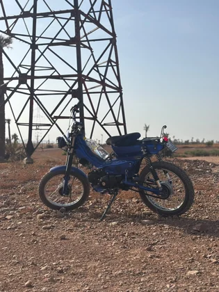 Sidi Bel Abbes custom blue motorcycle side profile on rocky ground near a transmission tower thumbnail